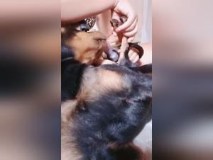 sultry latina fucks dog wildly