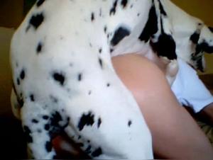 MILF and her dog in an extreme zoophilia video