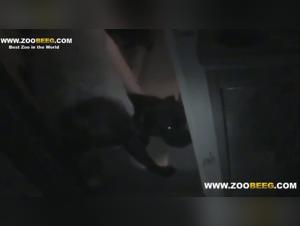 Dog Sex Video - An Exciting and Extreme Experience