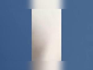 Forbidden Love: Woman and Small Dog