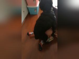 Shocking video: Bestiality and extreme sex with a dog