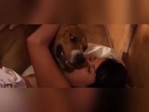 extreme zoophilia video