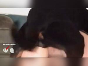 Zoo Compilation: Dog fucks hard