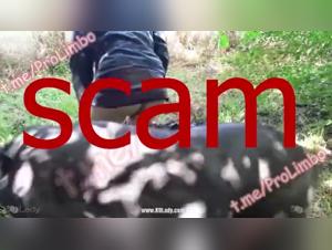 Bestiality: A Woman and Her Dog