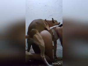 Bonne baise avec une bonne salope
