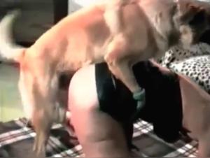 Dog fucks girl