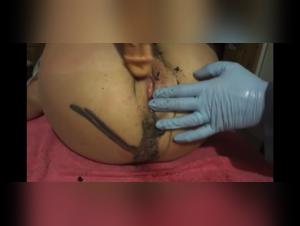 Dildo and Dog: A Bestial Encounter