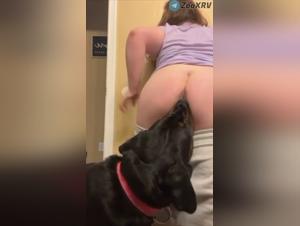 Chien suce salope dans la salle de bain