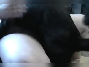 Bestial experience with a dog