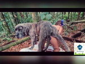 Bestiality sex with a dog: an extreme experience