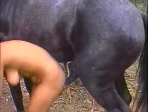 Bestiality: Two Brazilian women and a horse