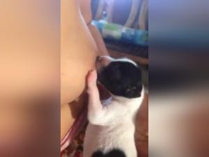 Bestial video: a forbidden experience with a dog