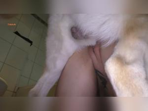Dog Sex Madness: She Can't Escape the Dog's Lust