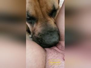 Baise Chien Meuf Salope Vidéo XXX