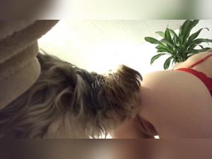 Bestiality sex video: she offers her body to her dog