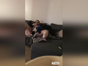 satisface su placer animal: su perro su deseo