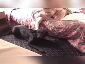 The Best Animal Pornography Zoo: a world without limits