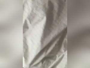 The Savage Fantasies of Zooporn and Beastiegals