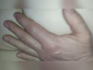 taboo desires : exploring the realm of zofilia