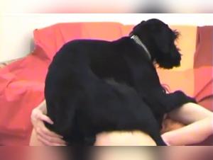Redhead and black dog in bestiality sex video