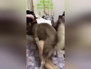 Asian Sex Video with Dog: Hard and Exciting