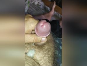 forbidden pleasures : animal encounters