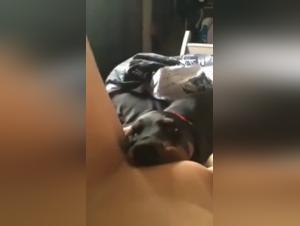 Mother in shocking bestiality video