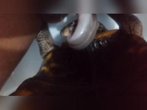 Forbidden Fetish Explorations Unveiled