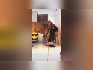 Intense Animal Passion Unleashed