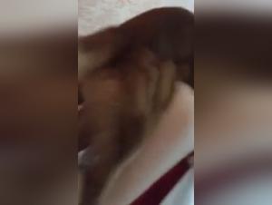 Slut fucks dog - High Quality Video Q1428912960