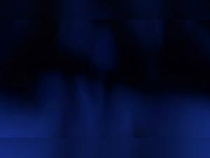 Women having sex with horse