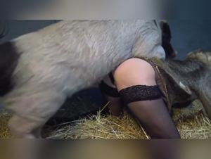 forbidden desires explored