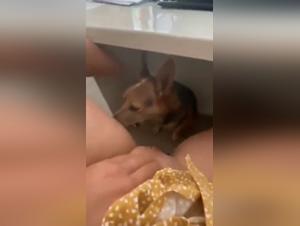 ImaKnottyGirl Baise Chien - Vidéos X
