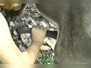MILF chucha el enorme pene del caballo