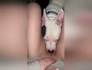 Mujer fo**a perro - Videos porno extremos