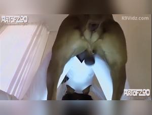 luxure zoo teen fucking her dog porn video