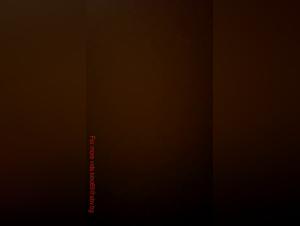 Forbidden Desires: Unveiling Dogsex