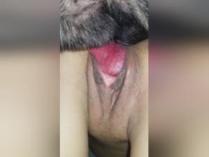 Banned Video: Dog and Mistress