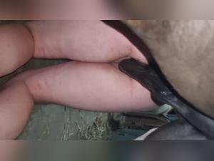 Lesbian fucks dogs with husband