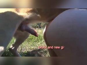 Mature, curvy woman indulges in bestiality with her dog