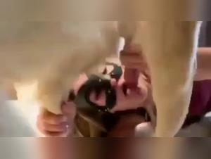 Woman and Dog: An Unforgettable Sexual Encounter