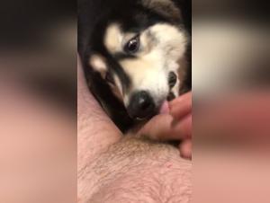 Bestial encounter: woman and dog