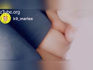 Secret and intense meeting between a teenager and a dog