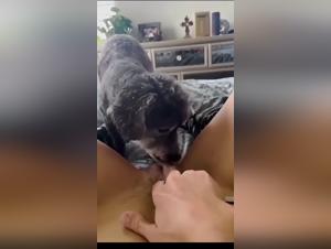 Luxury dog: the salacious experience of a whore sucking her dick