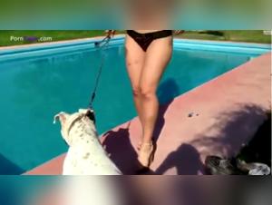 bestiality dog in pool