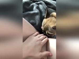 Family and dog in intimate moments