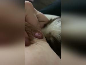 Bestial Breastfeeding: An Extreme and Forbidden Experience