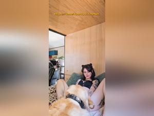 explicit animal cruelty footage