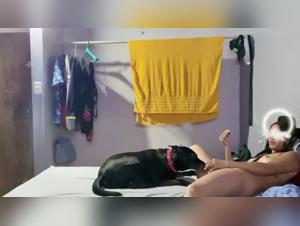Tiersex Reactions: Mädchen & Hunde 128/144