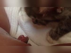 Dog Sex Video - Extreme Zoophilia